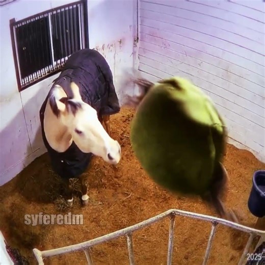 it worked #breakcore