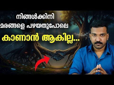 ജിറാഫിനെ വരെ ഓടിച്ചു വിടുന്ന മരങ്ങളുണ്ട്...