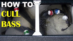 How To Cull Bass