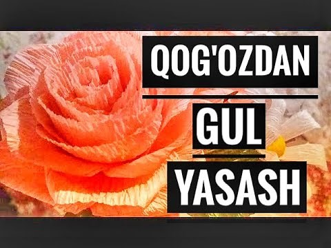 QOG'OZDAN GUL YASASH.