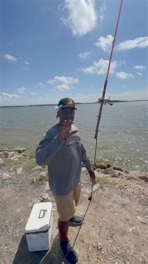 146K views · 1.1K reactions | Using live blue crab to hook big fish is a game-changer! Watch as we reel in this impressive fish, proving that the right bait makes all the difference. 呂 Did you know? Black drum can grow up to 100 pounds and are known for their distinct drumming sounds. Stay tuned for more fishing adventures!  #FishingTips #LiveBait #BigCatch #FishingLife #AdVentureBro | AdVenture Bro | Facebook