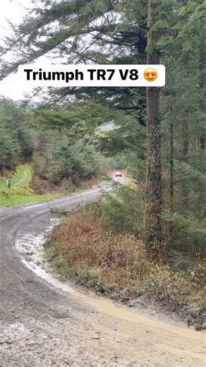 Triumph TR7 V8 of Mark Higgins/Carl Williamson, SS2 Dyfi Forest on Rally North Wales 2024#triumphtr7 #triumphtr7v8 #rallycar #rallying #rallynorthwales #rallycars | Rally Cars For Sale