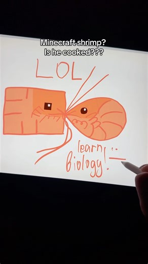 Minecraft drawing??? #art #workingartist #digitalart #ipad #artworkout