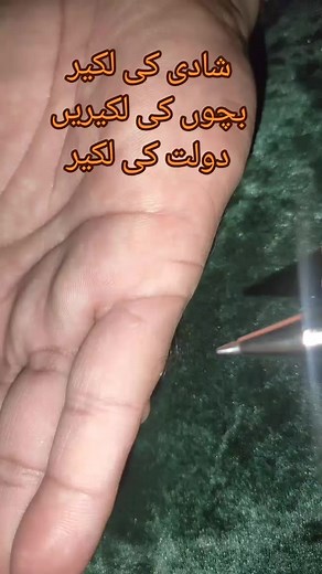 Understanding Different Lines in Palmistry
