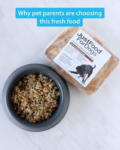 We are the #1 vet recommended fresh food for dogs for a reason. Give us two weeks, we’ll change your dog’s life forever. Our Fresh Frozen meals are: ✅ proven to promote immune system health and better digestion through independent research ✅ formulated by a large team of veterinarians to give the best nutrition for your dog ✅ priced lower than other brands so that more pet parents can access the best nutrition possible | Just Food For Dogs