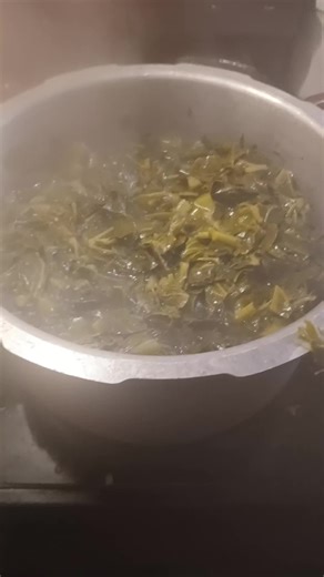 terryknight72 (@terryknight72)’s videos with original sound - terryknight72