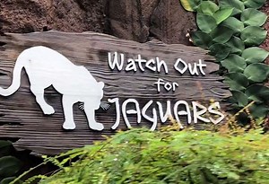 New attraction offers tour of Amazon River in just 10 minutes