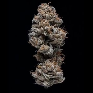 Love big buds? Learn our simple grow formula: https://bit.ly/3jbNz2g | Beautiful Nugs