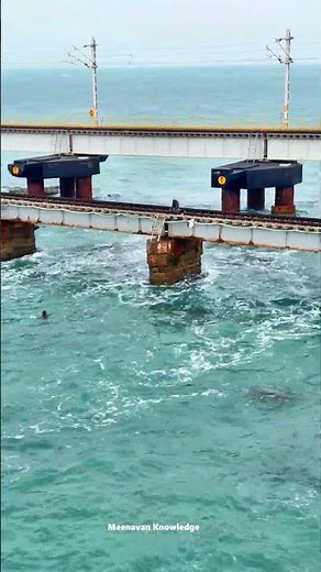 Heavy Wind 🌊 Net Jump Catch 😱🐟 #fishing