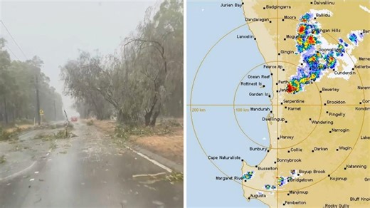 Trees uprooted as wild summer storm hits Perth hills
