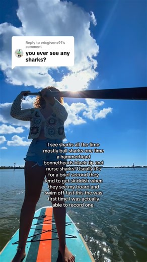 Lauren Renee Lopez 🧜🏻‍♀️ on Instagram: "I love seeing the sharks seeing them means where their at is a healthy ecosystem! The coolest experience I’ve had was watching a shark jump out of the water while spinning! I always see them when I go past the channel in open water and sometimes close to shore! #floridapaddleboarding #shark #paddleboardingwithsharks"