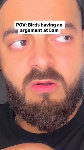 Birds having an argument at 5am…⠀⠀⠀⠀⠀⠀⠀⠀⠀⠀⠀⠀ ⠀⠀⠀⠀⠀⠀⠀⠀⠀⠀⠀⠀ ⠀⠀⠀⠀⠀⠀⠀⠀⠀⠀⠀⠀ ⠀⠀⠀⠀⠀⠀⠀⠀⠀⠀⠀⠀ ⠀⠀⠀⠀⠀⠀⠀⠀⠀⠀⠀⠀ ⠀⠀⠀⠀⠀⠀⠀⠀⠀⠀⠀⠀ #reaction #comedy #explorepage #reels | theofficial_azz