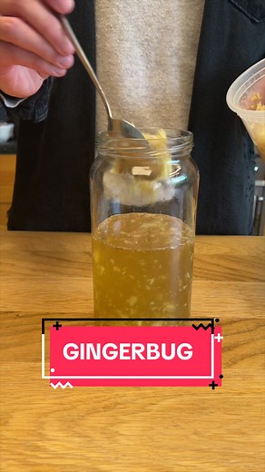 How to Make a Ginger Bug for Homemade Ginger Beer