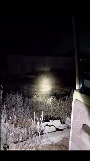 The scariest video of 2025 🤯🤯🤯#horror #ghost #paranormal #mystery #mystery