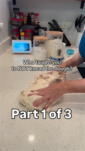 Shannon Marie’s Fried Dough on Instagram: "Making bread has always been the same... Mixed the ingredients Knead until smooth Let it rise and then bake it. Some lazy MFer along the line came up with this shaggy dough, nonsense, and now everybody is making mediocre bread. If you wanna learn how to make bread with a super soft, airy crumb and an amazing oven spring follow me for step-by-step videos with easy to follow recipes. Don’t believe me? check out my page. You can thank me later Happy baking