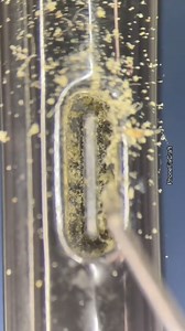 27K views · 87 reactions | USB-C charging port #cleaning under the #microscope | Phone Fix Craft | Facebook