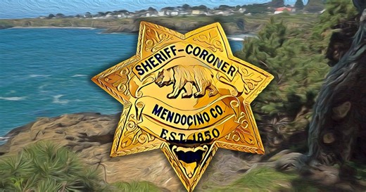 California cracking down on illegal marijuana grows, but dispensaries continue to struggle