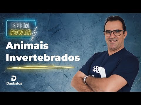 ZOOLOGIA: REINO ANIMALIA - ANIMAIS INVERTEBRADOS