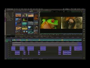 MEDIA COMPOSER 2019: TABBED INTERFACE FOR ORGANIZING BINS, WINDOWS, AND TOOLS