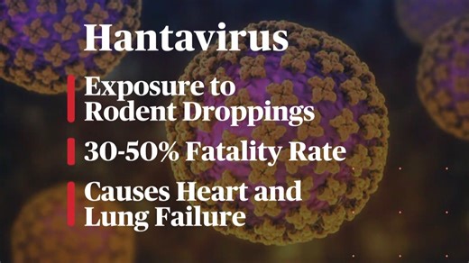 What is hantavirus? CBS News Medical Contributor Dr. Celine Gounder explains how the rare virus is transmitted and its fatality rate. | CBS Evening News