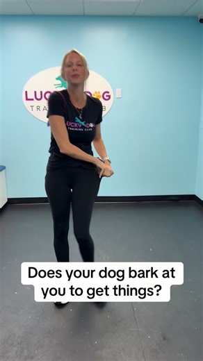 4.1K views · 55 reactions | #fyp #dogtraining #dogtrainer | Dynamite Dog Training | Facebook