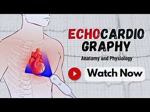Echocardiography - Principle, Types, Procedure, Uses | Anatomy & Physiology | Public Health Lectures