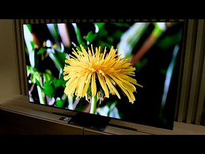 Samsung OLED TV: The QD-OLED-powered panel is finally official, and we got a first look