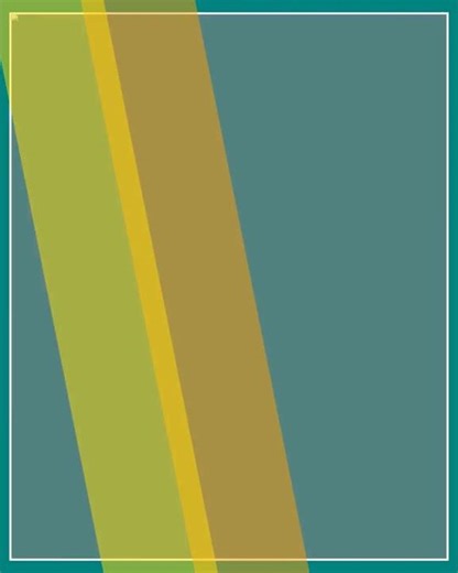 Turtle Pocket Watch Battery Operated