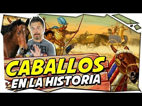 🐴 LOS CABALLOS EN LA ANTIGÜEDAD