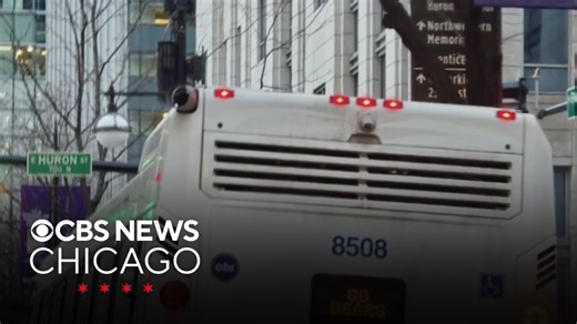 CTA bus says "Go Bears," a visit to the Cubs Convention | What Caught My Eye