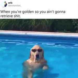 1M views · 8.3K reactions |  | Texts From Last Night | Facebook