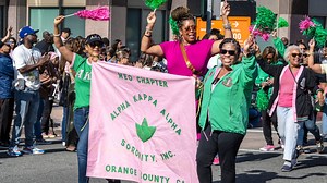 Alpha Kappa Alpha Sorority, Inc. Makes History By Starting 1st Black-Owned, Women-Led Credit Union - The Root