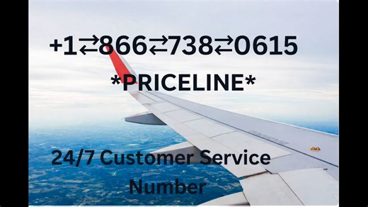 Official Priceline Customer Service || Phone Number Via Emails, Calls & Chat Guide