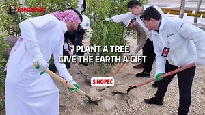 204K views · 124 reactions | Plant a tree, give the earth a gift!...