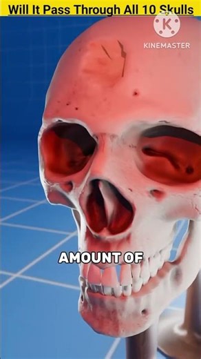 What Happens When a POWERFUL .50 Caliber Round Hits 10 Skulls?