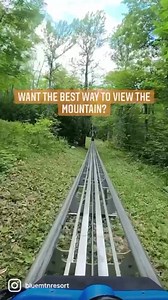 39K views · 187 reactions | If you didn’t take a ride on the Ridge Runner Mountain Coaster, did you really visit Blue Mountain? #summervibes #summervacation #discoverontario #tourism #tourismcanada #ontario #summerfun #travel #toronto #funinthesun #rollercoaster #visittoronto #BlueMountain #OntarioTourism #canadatourism #discover #BlueMountain #summertime #hiddengems #goodvibesonly | Blue Mountain | Facebook
