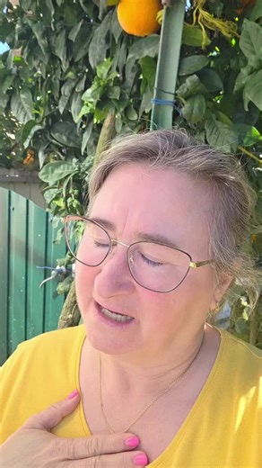 Adorando a Primavera e Enfrentando o Pó dos Pinheiros