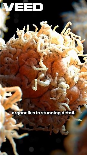 Microscopy (light and electron microscopes) #facts #celltalk #biologyscience #cellreference