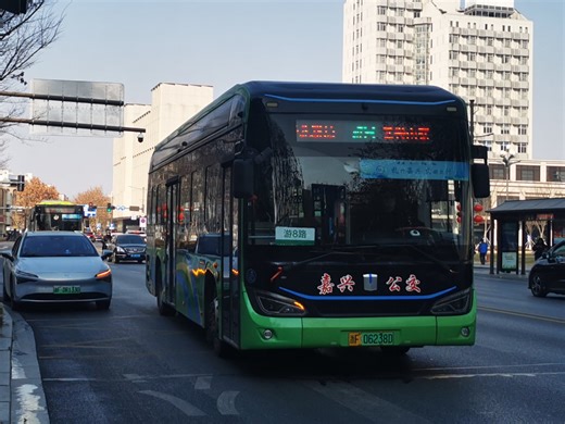 [上海同款]嘉兴公交游8路 DNC6101BEVG23D乘坐体验