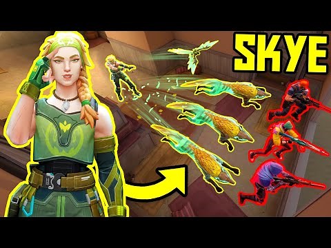THE POWER OF SKYE - Best Tricks & 200 IQ Plays - VALORANT