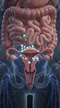 Why Do You Feel Nauseous or Vomit During Your Period? 😱 The Real Reason Explained!”