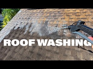 Satisfying Roof Cleaning: Soft washing a shingle roof in Valrico, Florida