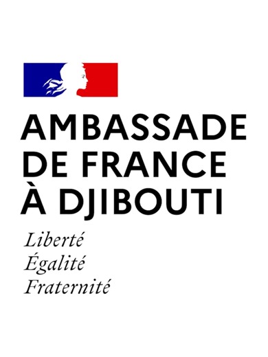 Coopération Franco-Djiboutienne : Projet AVAS à Ali Sabieh