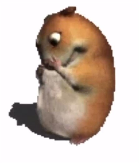 Hamter | Day#530#hamster | Instagram