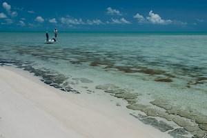 The Best Bonefishing in the Bahamas - Fly Fisherman