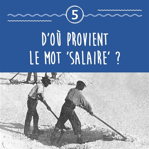 3.8K views · 100 reactions | D'où vient le sel ? 樂 Pourquoi le sel La Baleine est-il blanc  ? Quel est le lien entre sel et salaire ? D'où vient le terme "Fleur de sel" ? En bonus : une astuce pour refroidir sa bouteille en un clin d'œil  On vous dit tout ça en moins de 20 secondes ! 邏 | La Baleine | Facebook