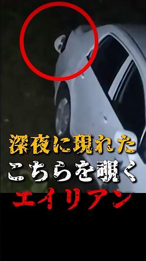 An alien appears late at night and peers at you