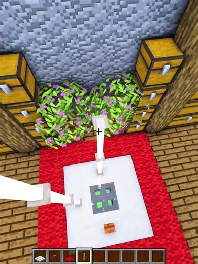 #tedrush #minecraftbut