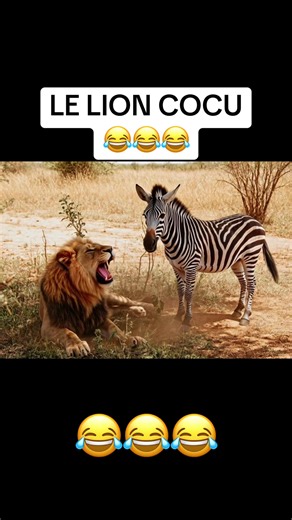 #pourtoi #drôle #humour #fun #newcreator