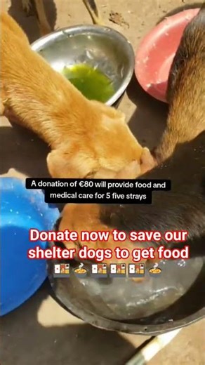 Sharing is caring and caring is love